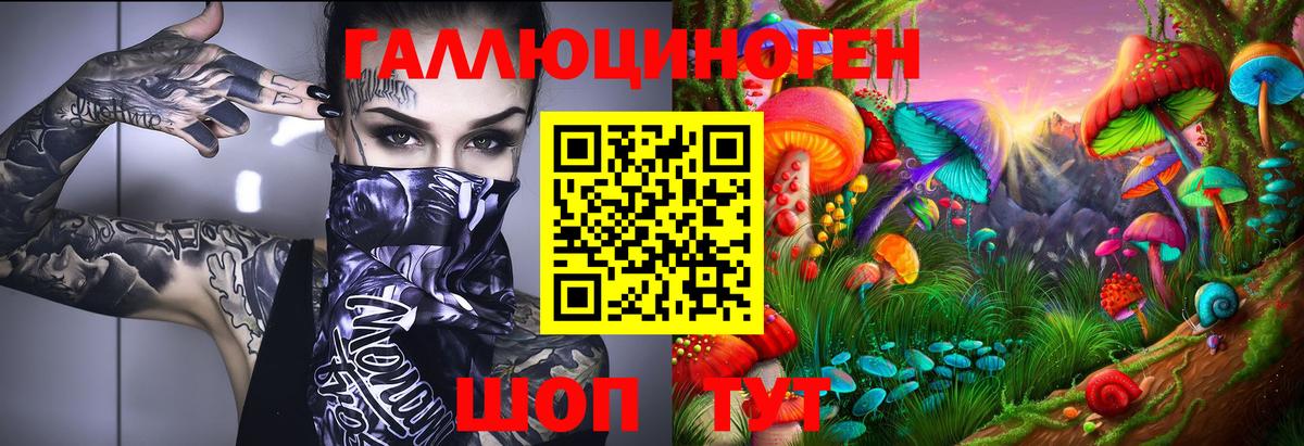 Псилоцибиновые грибы ЛСД  Вход с VPN  Долгопрудный  Галлюциногенные грибы Psilocybine cubensis 